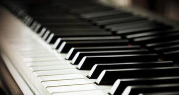 專業(yè)鋼琴一對(duì)一授課 沈陽音樂學(xué)院鋼琴系的卓越傳承